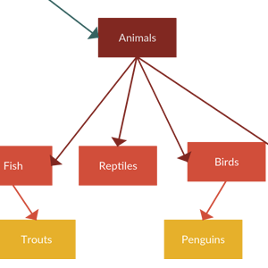Dichotomous Key Template